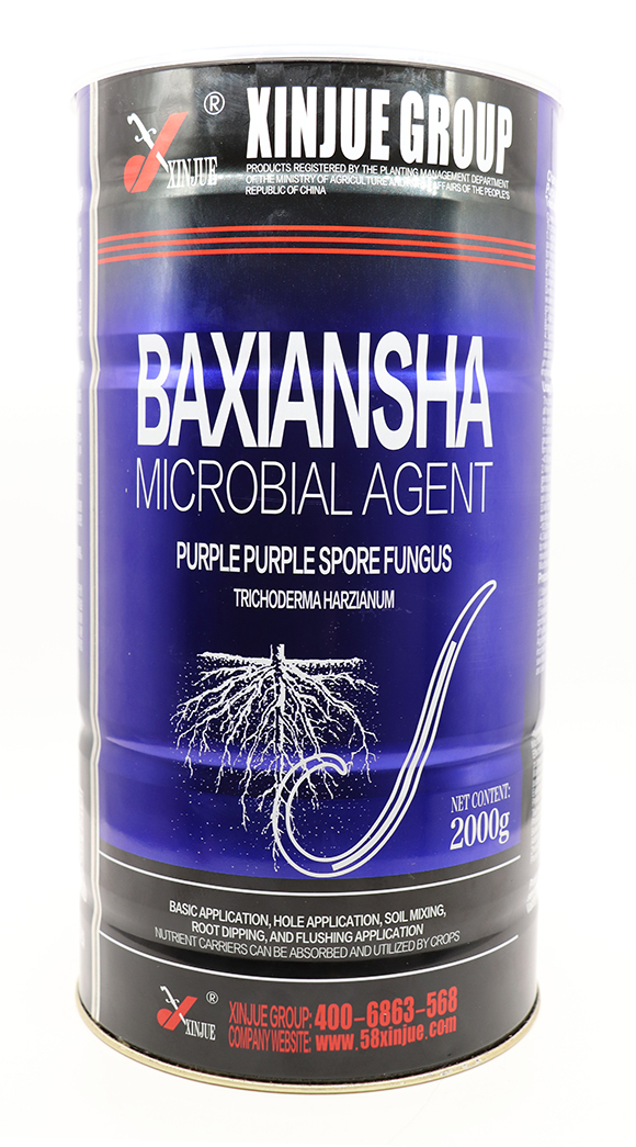 ΢�������-�;�ɳ-꿾�5