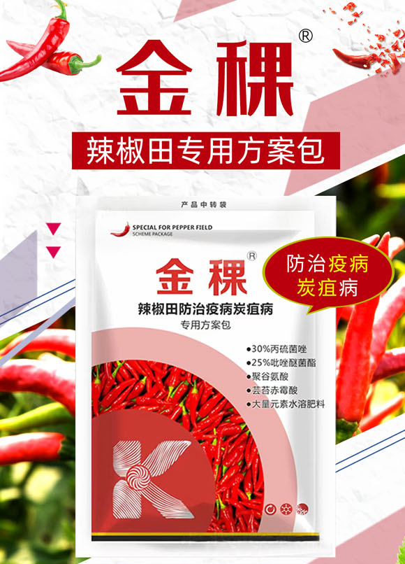 ����-���ս�_01