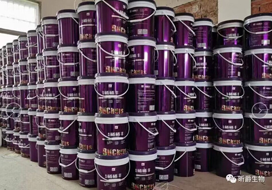 QQ�DƬ20230831174338