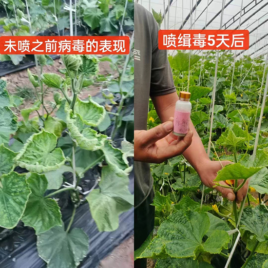 ΢��Ԫ��-�¾�����-꿾����F(tu��n)2