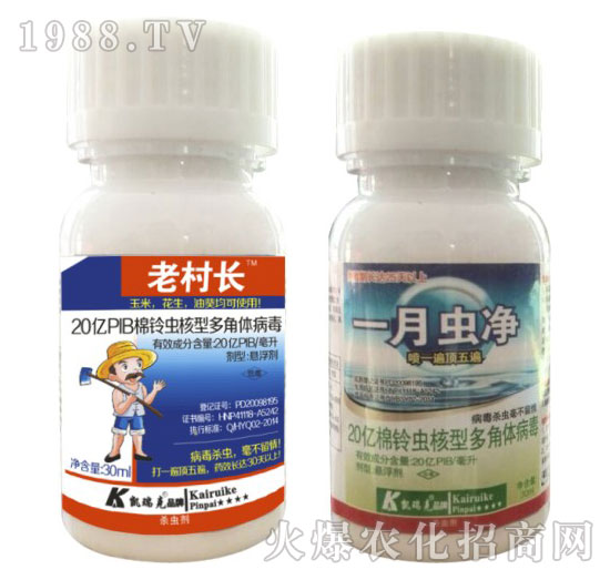 ����x���Ͷ���w����-�ϴ��L+һ�_��-�P���