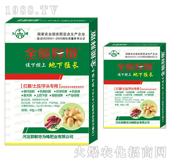 �t�������������^����-ȫ���ֶ�-���