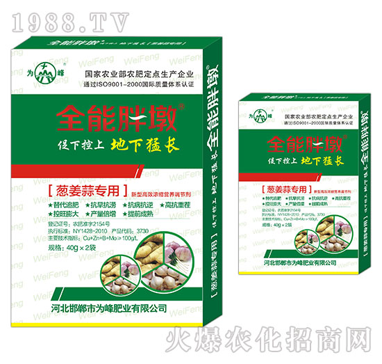 �[���⌣(zhu��n)��-ȫ���ֶ�-���