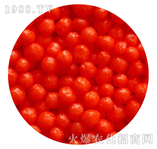 �tɫ��֬��Ĥ����-���r(n��ng)�ʘI(y��)