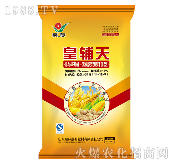 ���o���S�����ЙC-�o�C�ͻ����14-12-5-���з���