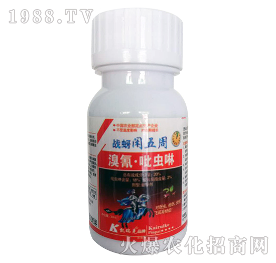 20%���衤���x(ch��ng)��-��(zh��n)���e����-�P���