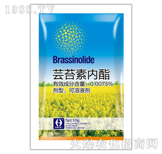 �|̦�؃�(n��i)֬-�A�̻���