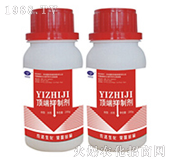 픶����Ƅ�-�r�_����