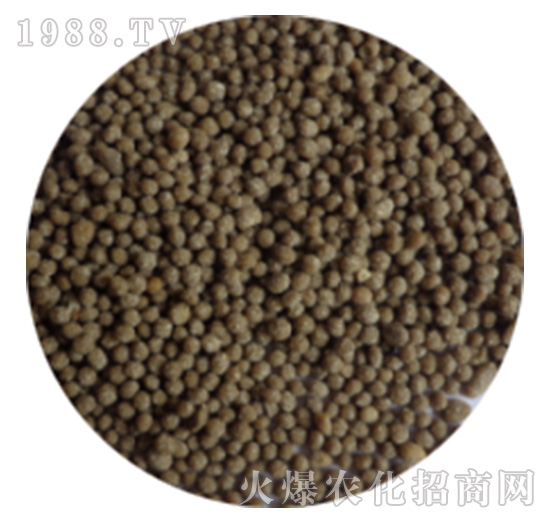 ����ɫ�LͲ����