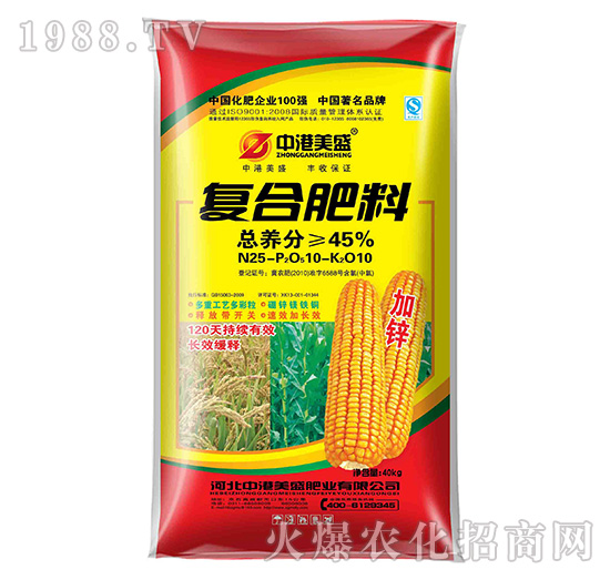 �ͺϷ���25-10-10