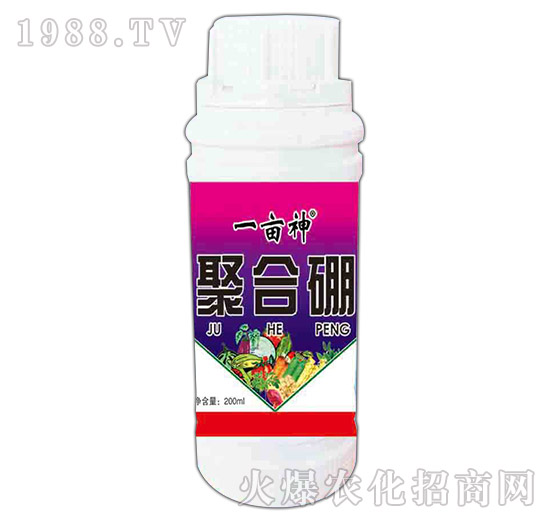 �ۺ���-һ����