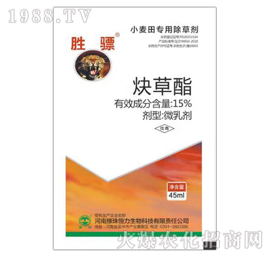 15%Ȳ����-ԥ�����