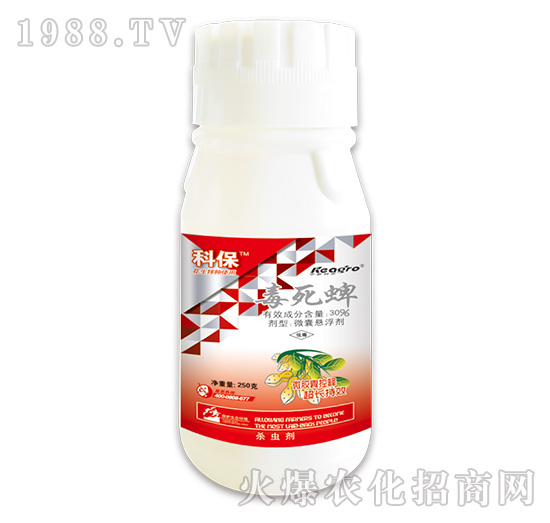 30%������-�Ʊ�-���¿��r(n��ng)