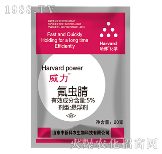 5%���x��-����-���¿��r