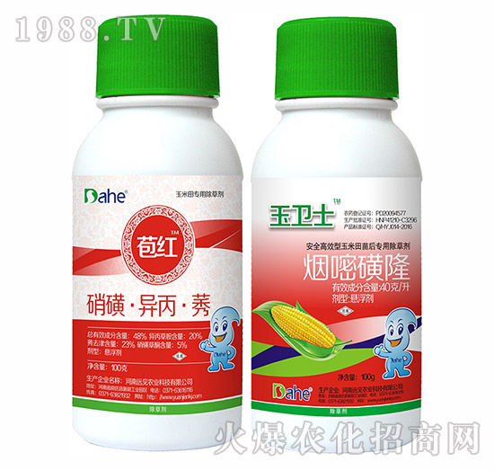 ���t+���l(w��i)ʿ-�h(yu��n)Ҋ�r(n��ng)�I(y��)