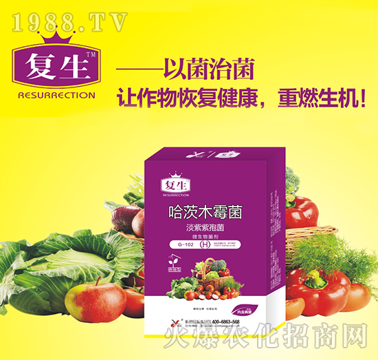 ΢�������-����ľù��-��(f��)��-꿾�