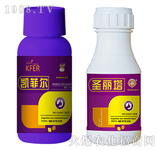 �{��(ji��)��-�P�Ơ�+ʥ����-�����r(n��ng)�I(y��)