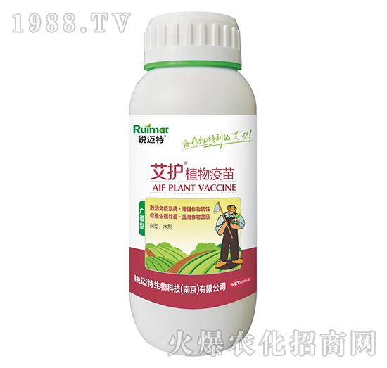 ���oֲ�����磨�V�V�ͣ�-�J�~��