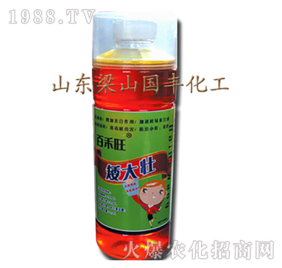 �����-��ɽ���S