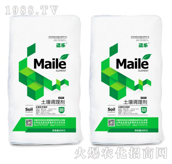 �����{�턩-�~��