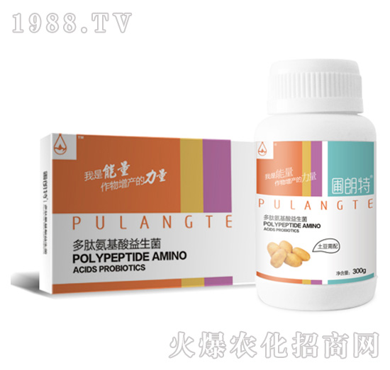 �K���o����-���İ�����������-������