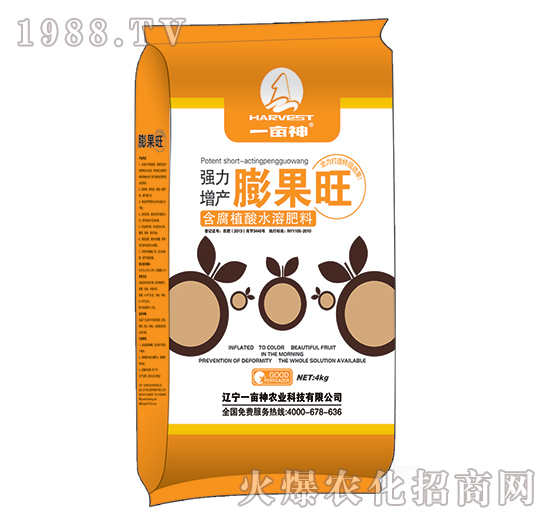 �������a�����-һ����