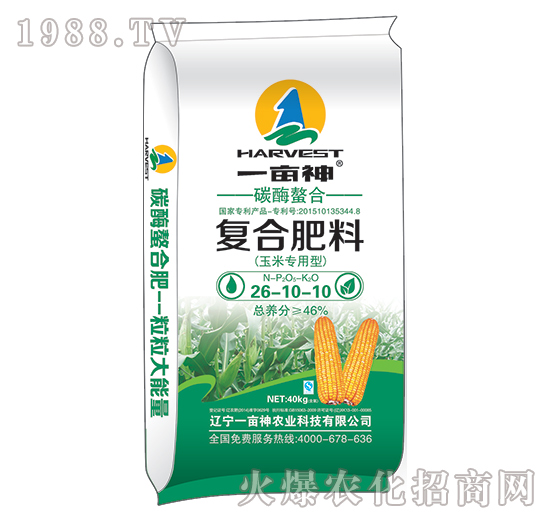 ���׌���̼ø���ϏͺϷ�26-10-10-һ����