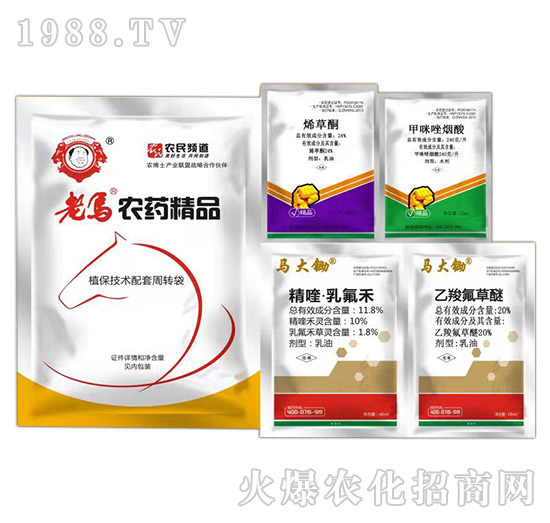 ���݄����b-�����r(n��ng)�I(y��)