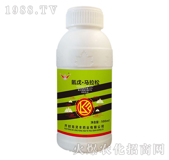 20%���졤�R����-���`�S