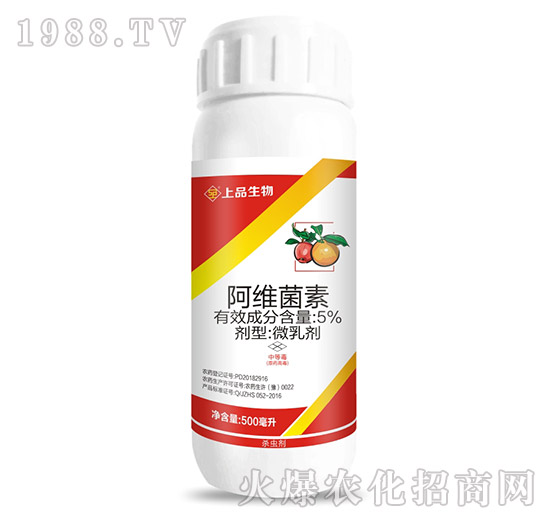 ���S����-�A������