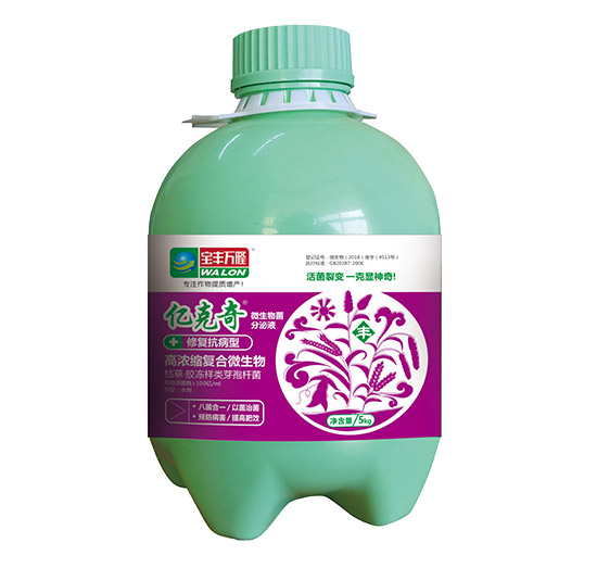 �ޏͿ�����-�|����-���S�f¡