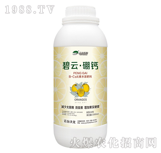 ���ơ����}-���_(t��i)��