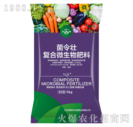 �ͺ�΢�������-�����-���