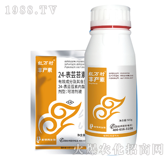 24-���|̦�؃�(n��i)��-�S�a(ch��n)��-���˹����r(n��ng)��