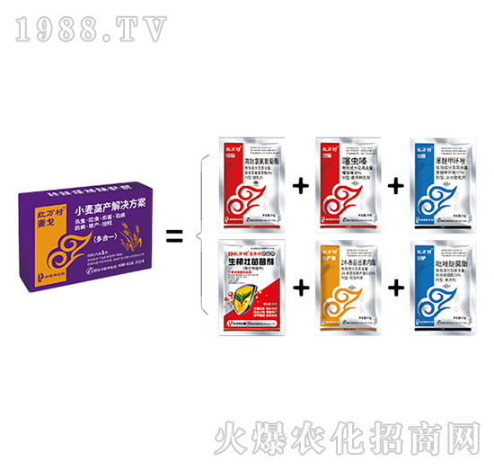 С��һ������-����M��-���˹����r(n��ng)��