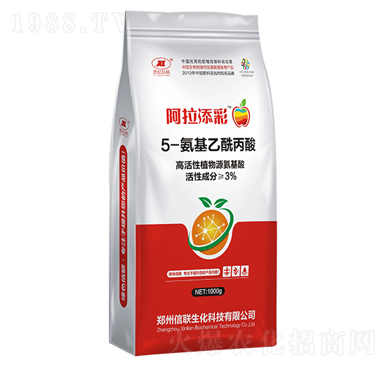 5-������������-��������-������