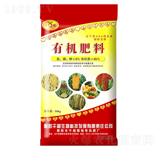 �ЙC����-ǧԽ����