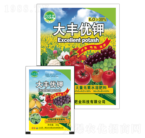 ���S��(y��u)�-��@���S-���S�ʘI(y��)