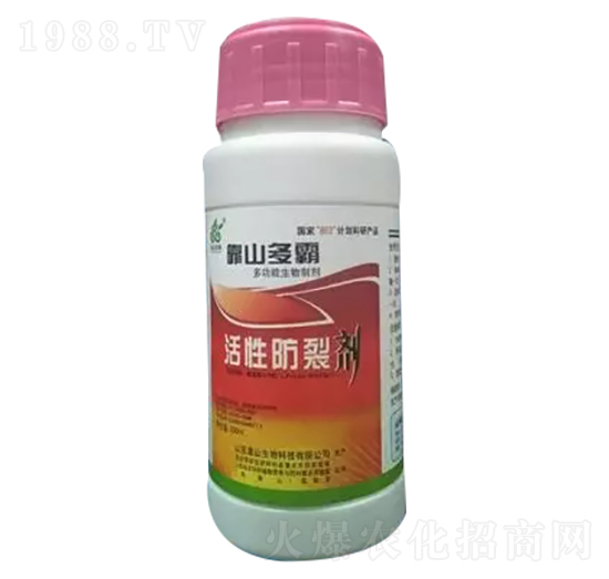 ���Է��ф�-��ɽ����