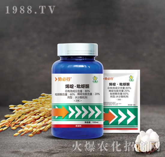 80%ϩड�����ͪ-��(sh��)����-С����