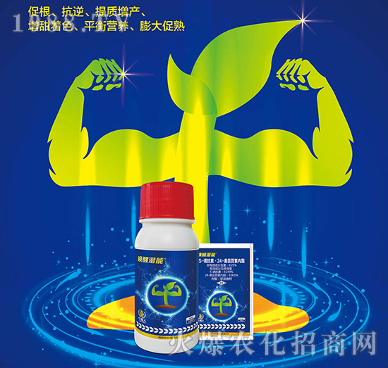 ���ѝ���-С����