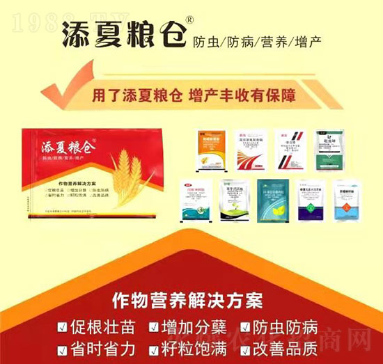 ����I�B(y��ng)��Q����-���ļZ�}-�S�՘�