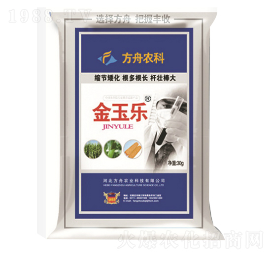 ����-�����r�I(y��)