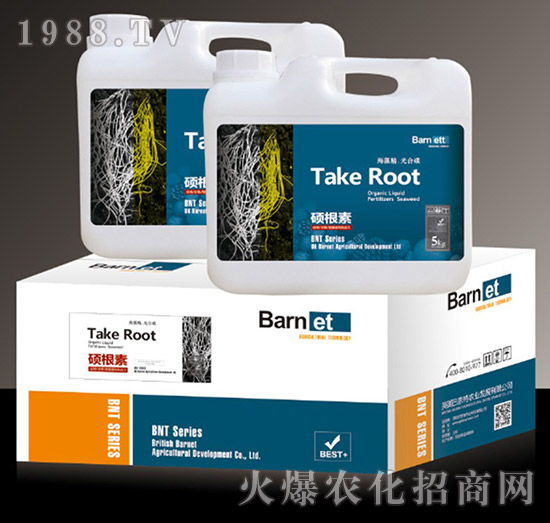 �T����-혞��r(n��ng)�I(y��)