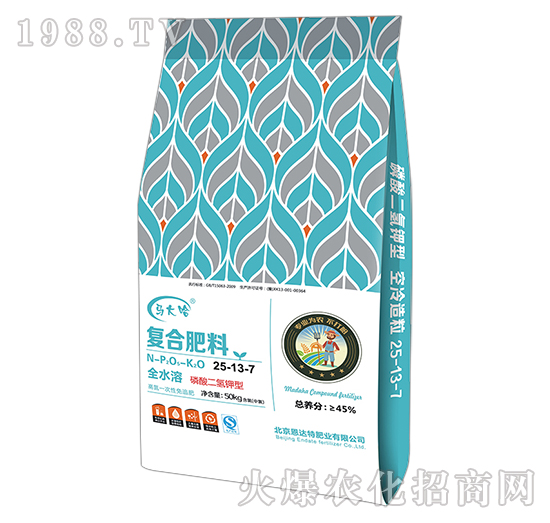 ���������͏�(f��)�Ϸ���25-13-7-�R���