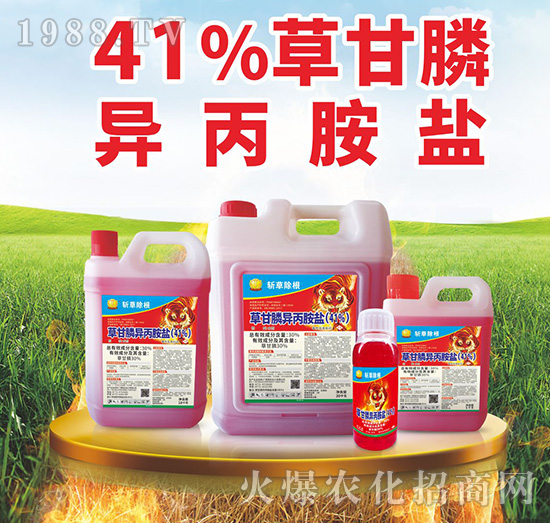 41%�ݸ�좮������}-�زݳ���-���S����