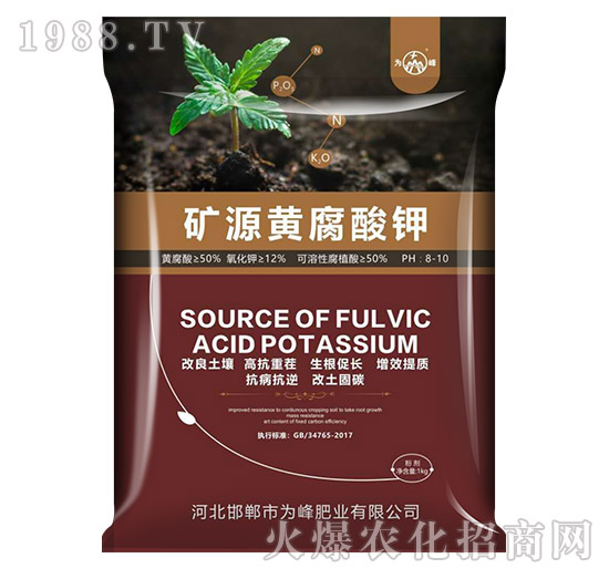 �VԴ�S�����-���