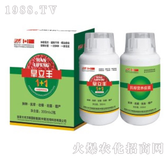 �����SС����N��-�S�f(w��n)��