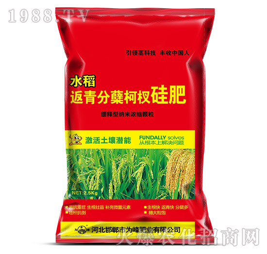 ˮ��������Y��辷�-���