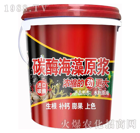 ̼ø����ԭ�{-��@���S-���S�ʘI(y��)